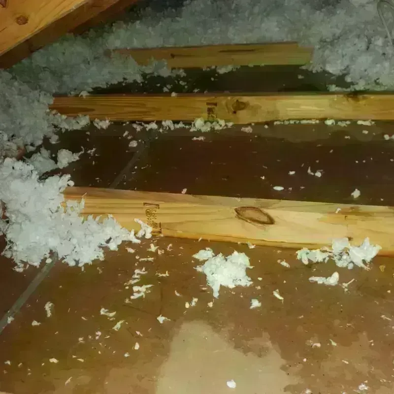 Attic Water Damage in Bunche Park, FL