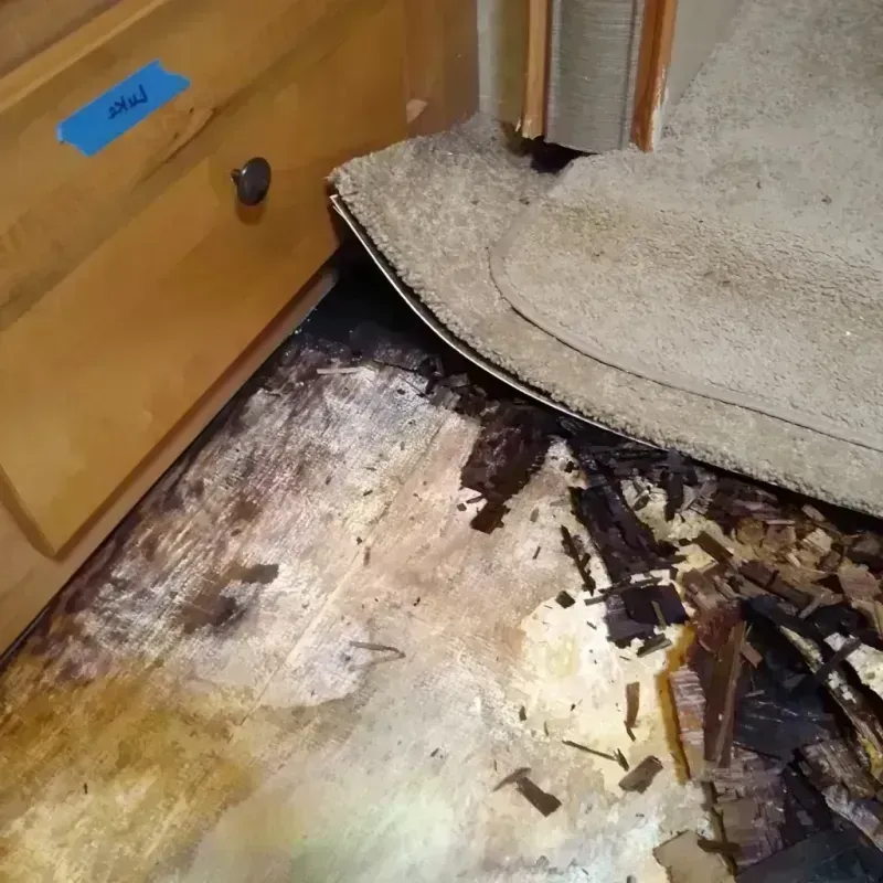 Best Wood Floor Water Damage Service in Bunche Park, FL